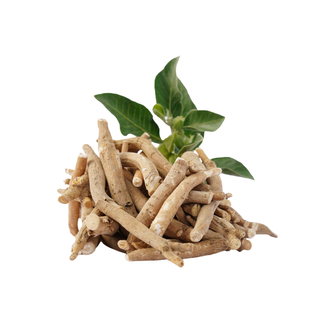 Ashwagandha Oil (Withania Somnifera) • Supports Skin Resilience + Nourishing & Adaptogenic Benefits