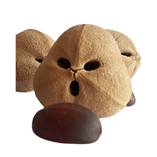 Cacay Oil • Natural Retinol Alternative • Reduce Wrinkles & Boosts Collagen Production